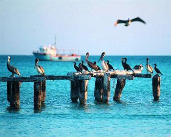 Wayak Holbox Hotel Exterior photo